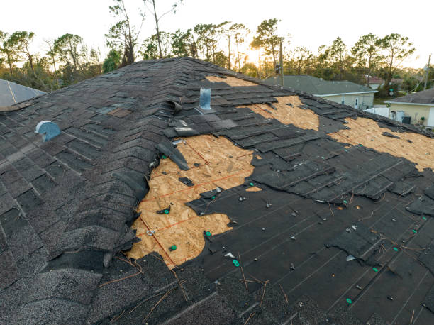 Best Gutter Installation and Repair  in Verdi, NV