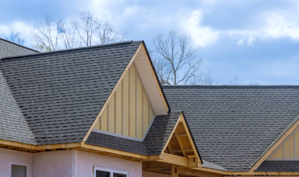 Best Rubber Roofing (EPDM, TPO)  in Verdi, NV