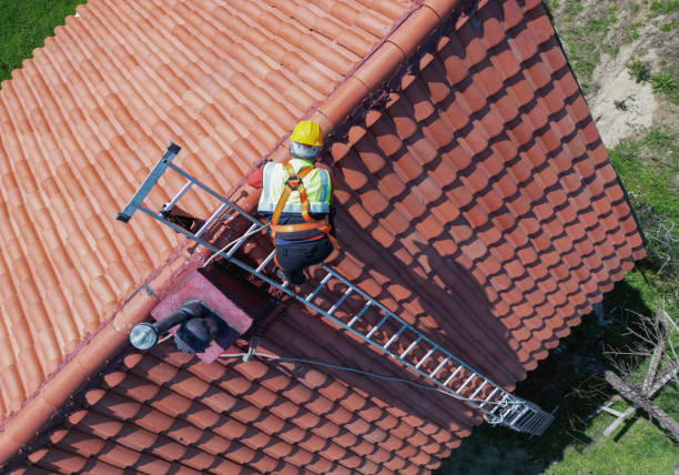 Best Roof Ventilation Installation  in Verdi, NV